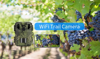Caméra de chasse 4k Wifi Caméra de surveillance avec application Contrôle à distance Vision nocturne CMOS Détection humaine/animale Caméra de chasse à la faune