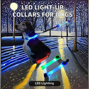 <span class=keywords><strong>Collar</strong></span> de perro LED de silicona de lujo con patrón sólido intermitente noche caminar seguridad cachorro plomo para perros pequeños - Product Image 2