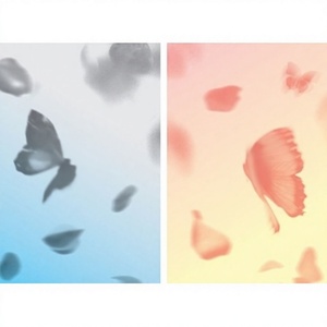 BTS (BTS) - Hwayang Yeonhwa PT.2 (4º miniálbum) Álbum oficial de Kpop coreano en CD - Product Image 2