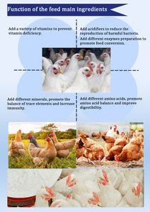 Aditivos para Alimento Premezclado para Pollos de Crecimiento Rápido y Nutrición Equilibrada, Aceleran el Aumento de Peso y Mejoran la Tasa de Conversión de Alimentos - Product Image 5