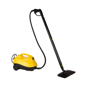 Custom Tank Volume Heating Power Options Cord Rewinder Wheeled Portable High Pressure Steam Washing Machine