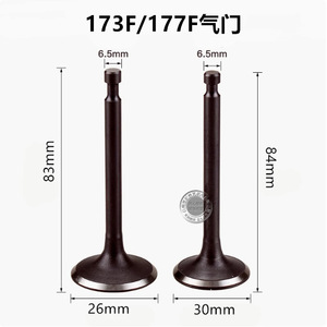 Pièces de pompe à eau pour générateur à moteur à essence 6,5/7,5 CV 168F170FGX160 200 Soupapes d'admission et d'échappement avec tiges de soupapes - Product Image 4