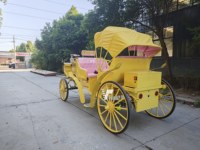 Chariot de tourisme électrique pour visites panoramiques, véhicule de loisirs pour parcs d'attractions et jardins fleuris