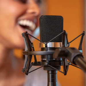 Micrófono de Condensador de Diafragma Grande Neumann Tlm102 XLR con Alimentación Phantom de 48V para Grabación en Estudio y Audiolibros - Product Image 2