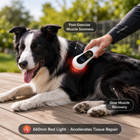 Appareil de luminothérapie rouge sans médicament, portable, pour animaux de compagnie, soulagement de la douleur, soin des articulations, baguette lumineuse LED rechargeable, chiens, chats, chevaux