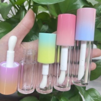 Nouveaux Tubes de Brillant à Lèvres en Plastique Dégradé Populaires 2025, 4ml et 6ml, Grande Capacité Rose avec Grande Brosse et Sérigraphie
