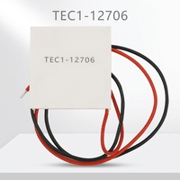 Module thermoélectrique Peltier 40x40mm TEC1-12706 Delta T 62 ℃   Contrôle de température TEC personnalisable