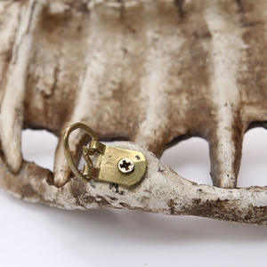 Oracle Bone Turtle Shell animale teschio SKE34 ciondolo di famiglia personalizzato decorazione per la casa in resina ornamenti - Product Image 5