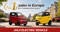 Voiture électrique mini 4x4 tout-terrain EEC L6e pour personnes à mobilité réduite avec espace de chargement, caméra, galerie de toit métallique et sièges en cuir