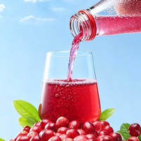 Boisson fonctionnelle quotidienne sans sucre, aromatisée à la canneberge, enrichie en taurine et en vitamines, 120 ml/flacon, pour soulager la fatigue physique après l'exercice