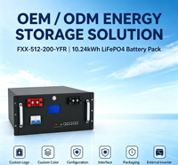 Batería de Litio para Almacenamiento de Energía Solar, Montaje en Rack, 51.2V 200Ah 10.24kWh, Paquete LiFePO4, Protección IP21, Soporta 16 Unidades en Paralelo
