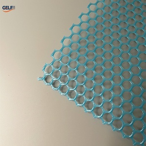 Hiện đại HDPE Gà Gia cầm trang trại sàn nhà máy nóng bán bảo vệ lưới Pallet - Product Image 2