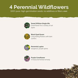 Kit de jardin de maison d'été sans fin sac de paquet de fleurs pour la plantation de printemps et d'automne <span class=keywords><strong>Pot</strong></span> de succession <span class=keywords><strong>vivace</strong></span> suspendu à utiliser sur les sols - Product Image 5