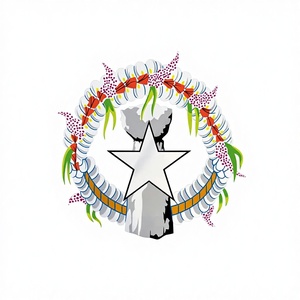 Bandera Personalizada con Logotipo para Decoración, Nueva, al por Mayor, <span class=keywords><strong>de</strong></span> 3x5 Pies, con la Bandera Nacional <span class=keywords><strong>de</strong></span> las Islas Marianas del Norte - Product Image 6