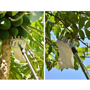 อุปกรณ์เก็บผลไม้แบบถอดได้ทำจากสแตนเลสลูกแพร์ส้มส้ม - Product Image 6