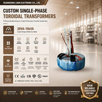 Noyau toroïdal de haute qualité 50W-5000W entrée 110V 120V transformateur de noyau d'anneau pour amplificateur audio
