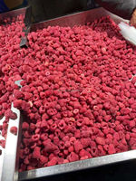 IQF Diepvries Frambozen Hele 95% Min. Bulk Diepvries Frambozen BRC HACCP Gecertificeerd Diepvriesvruchten voor Bakkerijen Smoothies Yoghurt