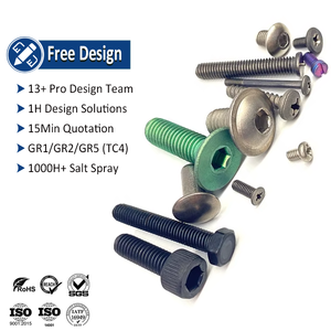 OEM Tùy Chỉnh Tinh Khiết Titan Vít Anodized Gr1 Gr2 Chìm Đầu Allen Ổ Cắm Nắp Phẳng Máy Hợp Kim Titan Vít Bu Lông - Product Image 1