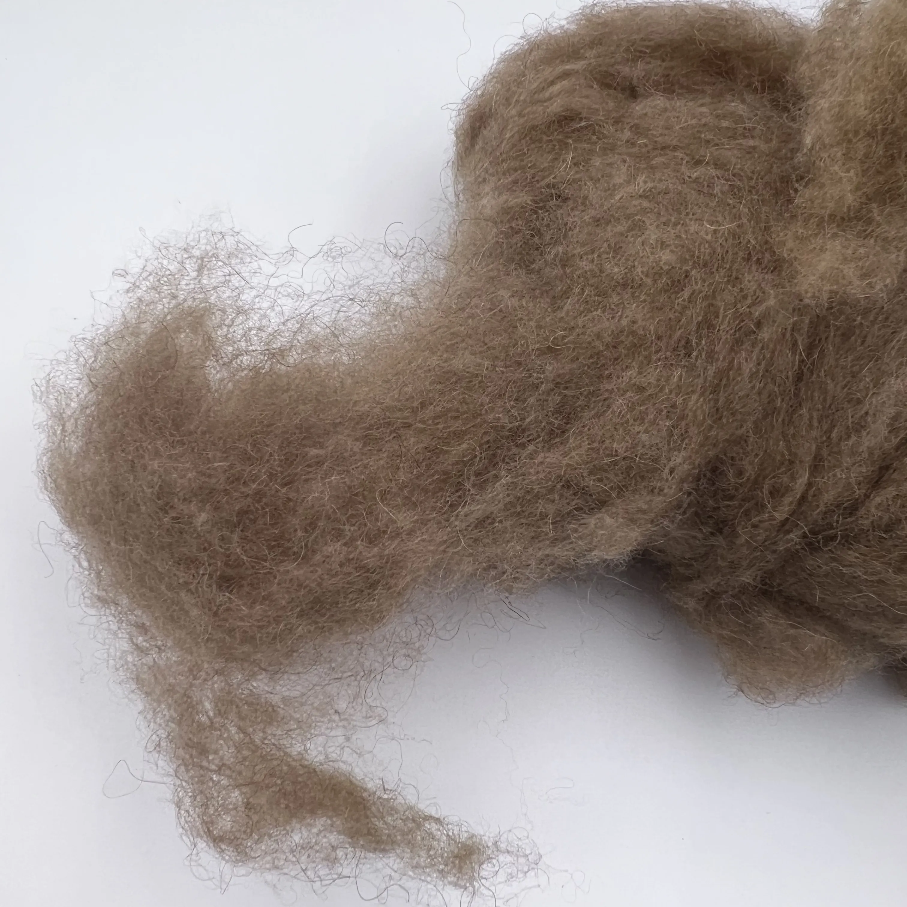 Nuovissimo! 100% capelli di cammello in fibra di lana di cammello