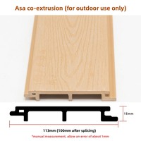 Paneles de Pared ASA Coextruidos con Relieve de Madera, Impermeables y Anticorrosivos, Tableros Decorativos para Exteriores, Villas, Cabañas y Jardines