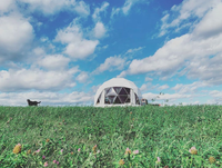 Dôme géodésique Igloo pour événements commerciaux et expositions, abri de 8m, 10m, 15m
