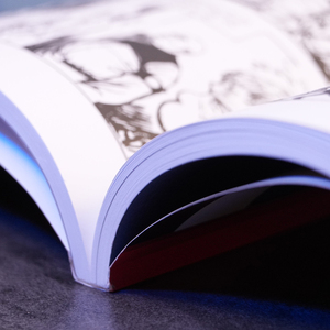 Impression de bandes dessinées personnalisées à reliure parfaite, papier couché brillant, impression couleur intégrale, anime, manga, roman graphique, impression en volume - Product Image 5