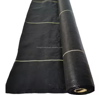 Agrotextile Couvre-sols pour le contrôle des mauvaises herbes Fournitures essentielles pour le jardin