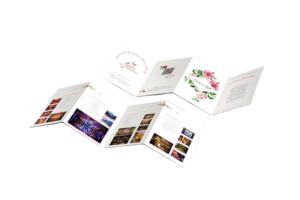 Brochure personnalisée imprimée, affiche, commandes OEM, <span class=keywords><strong>d</strong></span>épliant, usine directe, finition de surface artistique fantaisie, impression de catalogue coloré - Product Image 3