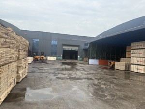 Contreplaqué phénolique WBP à âme en peuplier, film noir, moderne, pour coffrage extérieur, première classe E1, garantie 1 an, Dubaï, Moyen-Orient - Product Image 6