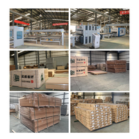 Portes intérieures en bois mélaminé de qualité supérieure, design moderne et écologique, fabricant OEM ODM