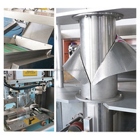 Machine d'emballage de sachets oreillers préformés pour suppléments protéinés de 0,5 kg et 1 kg, solution de fabrication et de scellage de pochettes