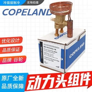 Válvula de Expansión Térmica Emerson Power Head XB-1019HCA/HZ/NW100/SC-1B para Reemplazo en Edificios de Oficinas - Product Image 5