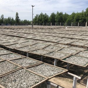 Exportation d'anchois séchés de haute qualité - Product Image 1