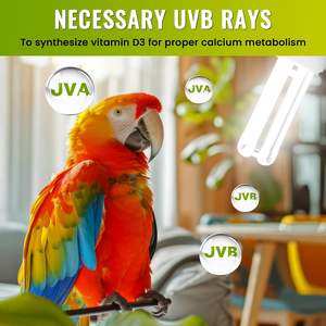 Bombilla Fluorescente Compacta <span class=keywords><strong>UVB</strong></span> 2.4 E26 para Aves y Reptiles, Lámpara <span class=keywords><strong>UVB</strong></span> para Jaula de Aves - Product Image 6