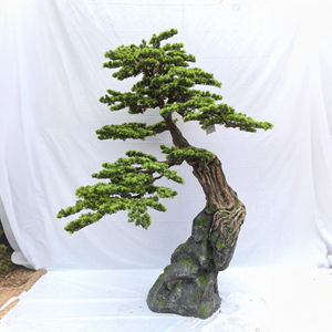 Landscape Designer Preferred Custom Artificial Pine <strong>Bonsai</strong> <strong>Tree</strong> | Realistic Bark Texture &amp; Modular Structure For Easy Transport - Product Image 3