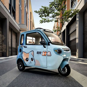 Customizable 3-Wheel Mini Electric Tricycle 2-Door <strong>Enclosed</strong> <strong>Trike</strong> with 1000W for Passengers Body Type Closed - Product Image 3