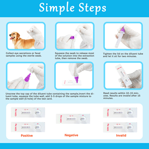 Kits de <span class=keywords><strong>test</strong></span> rapide canin félin pour le diagnostic de la rage FPV/FCV/FHV/FCoV; Cathéter d'insémination inclus pour chien et chat - Product Image 6