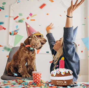 Peluche di lusso cane torta di compleanno giocattolo Pet Squeaky giocattolo con una fragola realizzata in plastica resistente - Product Image 4