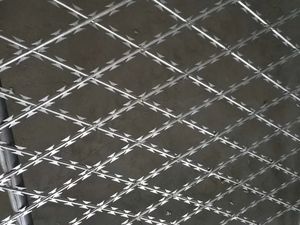 उच्च गुणवत्ता वाले एंटी-चढ़ाई फार्म रेजर बार्बेड वायर 200 मीटर 500 मीटर लोहे के मानक आकार स्टेनलेस स्टील वायर - Product Image 6