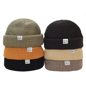 Gorro de punto estilo coreano para hombre, diseño de piel de melón, moderno, hip hop, versátil, para clima frío, gorro de inquilino con letras, otoño-invierno - Product Image 5