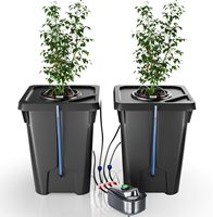 Sistema hidropónico interior automatizado, jardineras holandesas inteligentes con control de nivel de agua