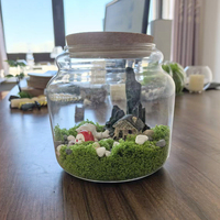 Terarium Kaca Transparan dengan Tutup Gabus Kayu untuk Dekorasi Tanaman Alam Mini di Meja Rumah atau Kantor 15cm