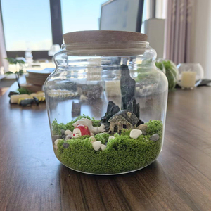Vaso in Vetro Trasparente con Coperchio in Sughero per Decorazione Mini Paesaggio <span class=keywords><strong>Naturale</strong></span> con Piante da Tavolo per <span class=keywords><strong>Casa</strong></span> e Ufficio 15cm - Product Image 4