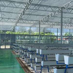 効率的かつ効果的な栽培のためのAフレーム野菜保育園農業温室