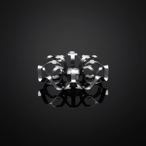 <span class=keywords><strong>ราคา</strong></span>โรงงาน JXKELLEY แหวนบรรจุภัณฑ์สเตนเลสสตีล 304 316L แบบโรเซต แหวนโลหะแบบเทลเลอร์ แหวนโรเซตสำหรับหอหล่อไอน้ำ - Product Image 1