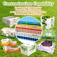 Boîte en plastique PP imperméable personnalisée, boîte creuse pour le stockage des fruits (pommes, noix de coco), emballage pour légumes, boîte en plastique