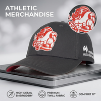 Gorra de Béisbol Bordada a Mano de Primera Calidad con Logotipo Personalizado, Lazos y Patrones de Argyle, 100% Algodón, Unisex, Ajustable, Deportiva