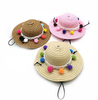 Chapeau de paille réglable pour fête hawaïenne, mini sombrero, chapeau de paille pour chien, chapeau de plage pour le soleil