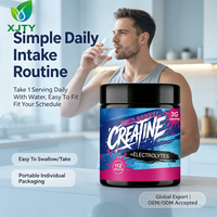 Poudre d'électrolytes et de créatine aux baies mélangées OEM – Complément alimentaire quotidien pour adultes, soutien à la récupération et à l'hydratation après l'entraînement en salle de sport