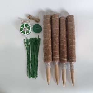Oferta Especial: Set de Postes de Musgo de <span class=keywords><strong>Coco</strong></span> para Bonsái y Plantas Trepadoras, Diseño Ecológico y Duradero, Macetas y Jardineras para Plantas Verdes de Hogar y Jardín - Product Image 1